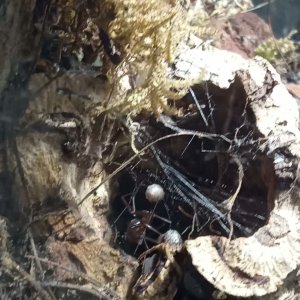 VID_20260125_234038938~2.mp4