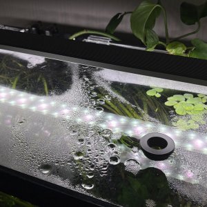 Photo 26-01-2026, 18 13 02.jpg