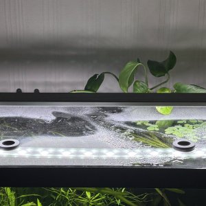 Photo 26-01-2026, 18 12 56.jpg