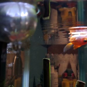 20260128_195629 (1) (1).mp4