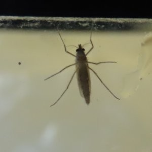 IMG_8646 - Copy - Copy.JPG