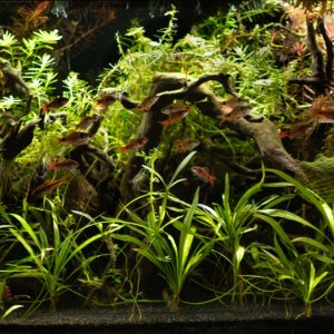 picture of the day-78.jpg