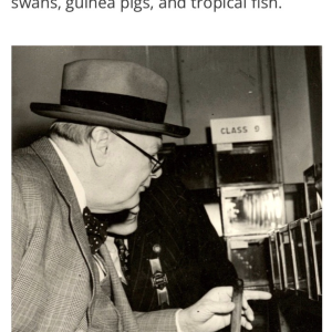 Churchill.png