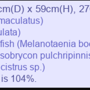 Screenshot 2026-02-17 235629.png