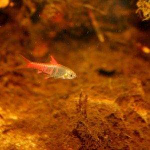 byejae2 (640x427).jpg