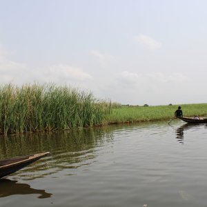 fishing canoes.JPG