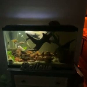 Video_260313_205328.mov.mov