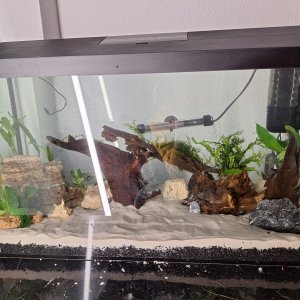 WhatsApp Image 2026-03-18 at 21.12.54.jpeg