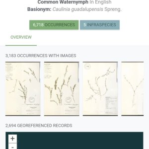 Screenshot_20260112_214422_Samsung Internet.jpg