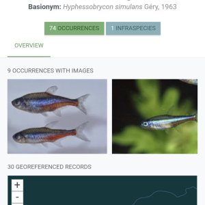 Screenshot_20260114_090400_Samsung Internet.jpg