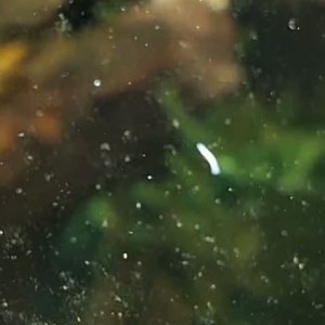 WhatsApp Video 2026-04-11 at 14.48.51.mp4