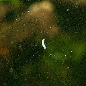 WhatsApp Image 2026-04-11 at 14.48.51 (1).jpeg