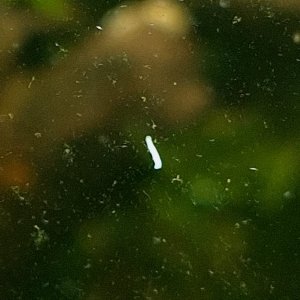 WhatsApp Image 2026-04-11 at 14.48.51.jpeg