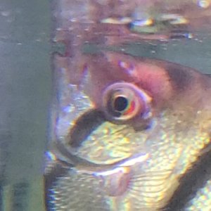 Screenshot_20260411_144524_Video Editor.jpg