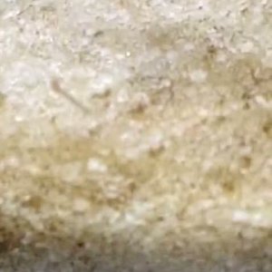 WhatsApp Video 2026-04-12 at 14.16.42.mp4