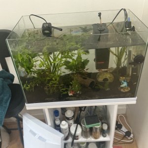 Above the tank during maintence