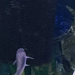 IMG_0174.jpeg