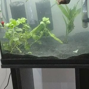 Superfish Start 30
