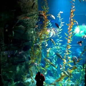 20260524_172232.webp