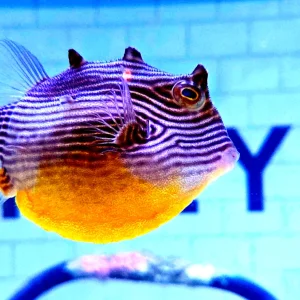 20260524_180434.webp