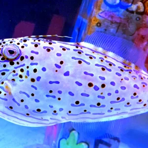 20260524_181050.webp