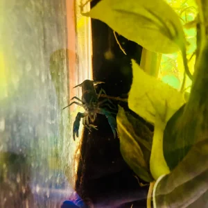 IMG_9799.webp
