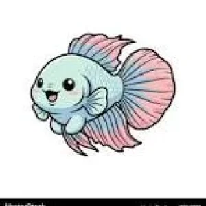 betta.webp