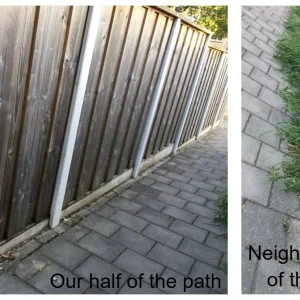 backyards path.webp