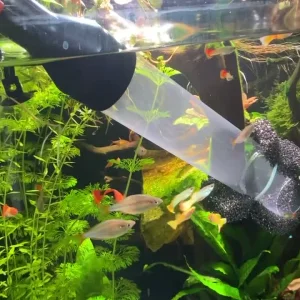 Water Change.mov