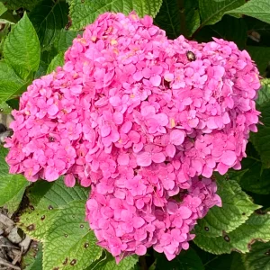 IMG_1689.webp