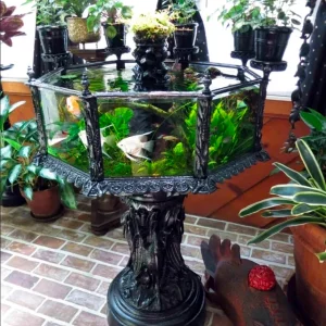 Screenshot_20260915_183202_Chrome.webp