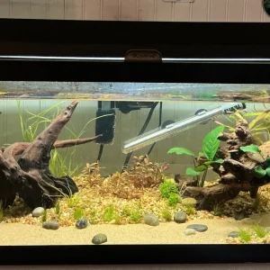 tank920.webp