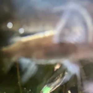 IMG_0125.webp