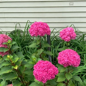 IMG_2348.webp