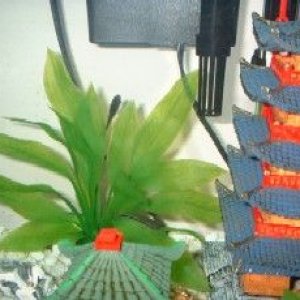 2otos.jpg