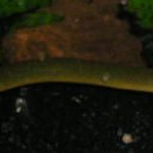 AJB_007__2_.jpg