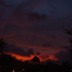 DSCF0016.JPG