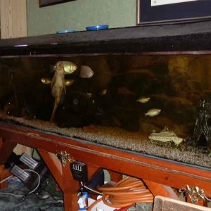 fishtank.jpg