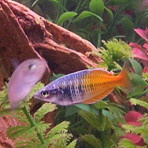 100_0112.jpg