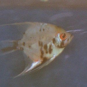 100_0144.jpg