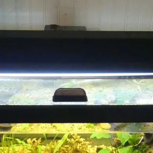 Media 'P1010539.webp' in category 'Freshwater Equipment'