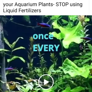 Screenshot_20261010_230215_Facebook.webp