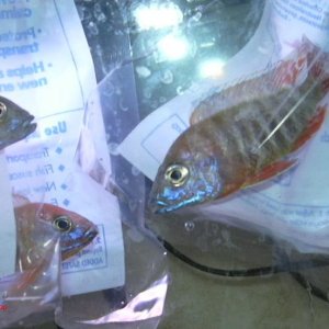 DSCN0158.jpg