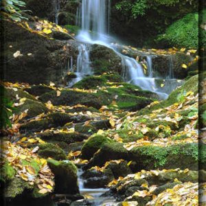 water3.jpg