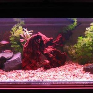 aquarium.jpg