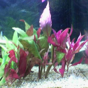 Image_349_.jpg