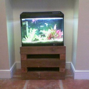Image_350_.jpg