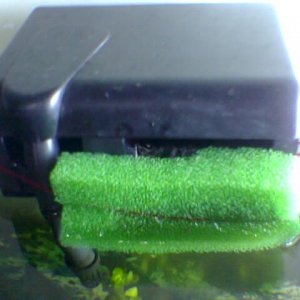 Image004.jpg