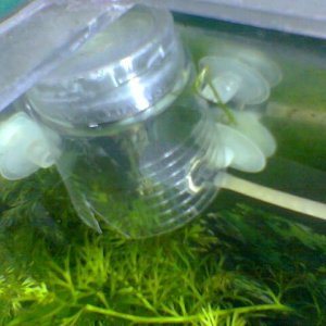 Image005.jpg