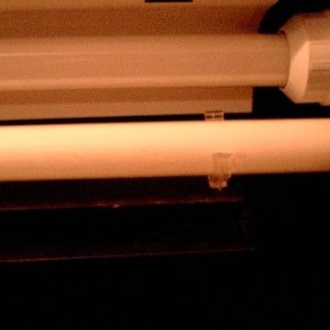bulb1.JPG